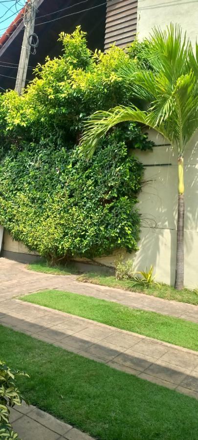 Ocean View Tourist Guest House At Negombo Beach Near The Airport Εξωτερικό φωτογραφία