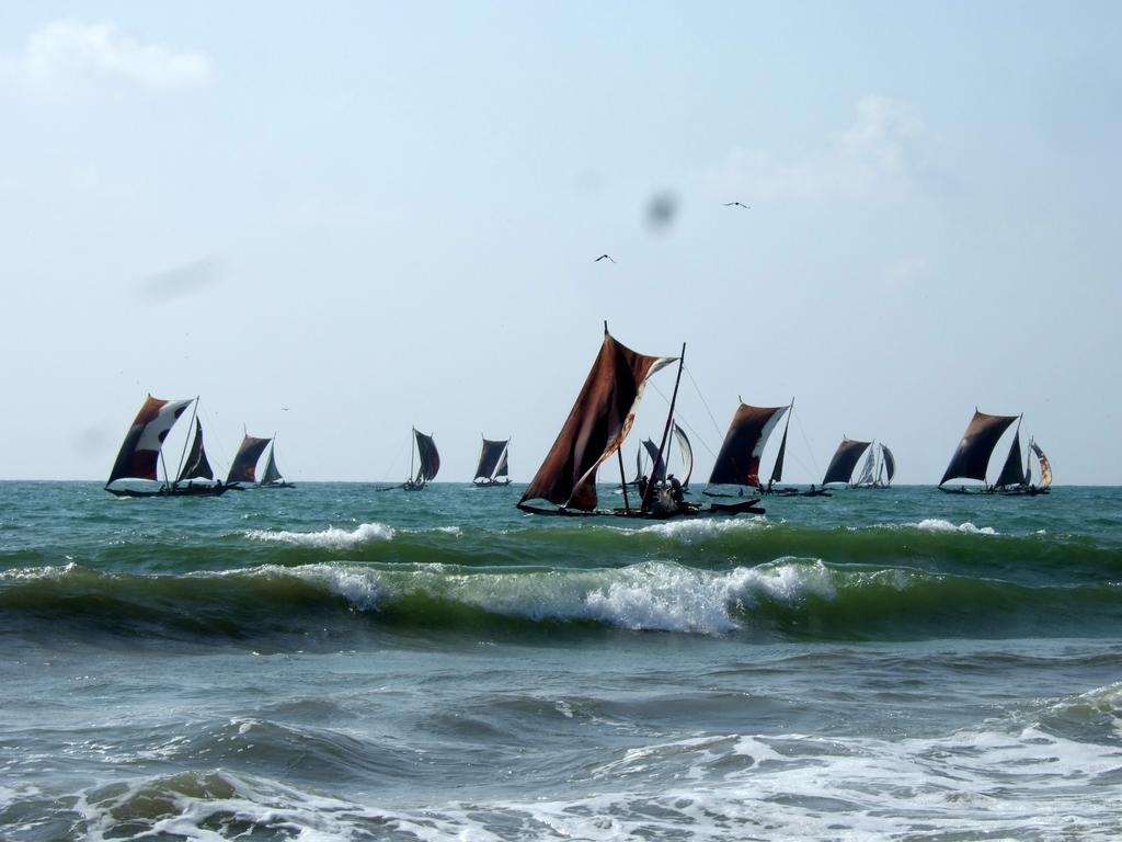 Ocean View Tourist Guest House At Negombo Beach Near The Airport Εξωτερικό φωτογραφία